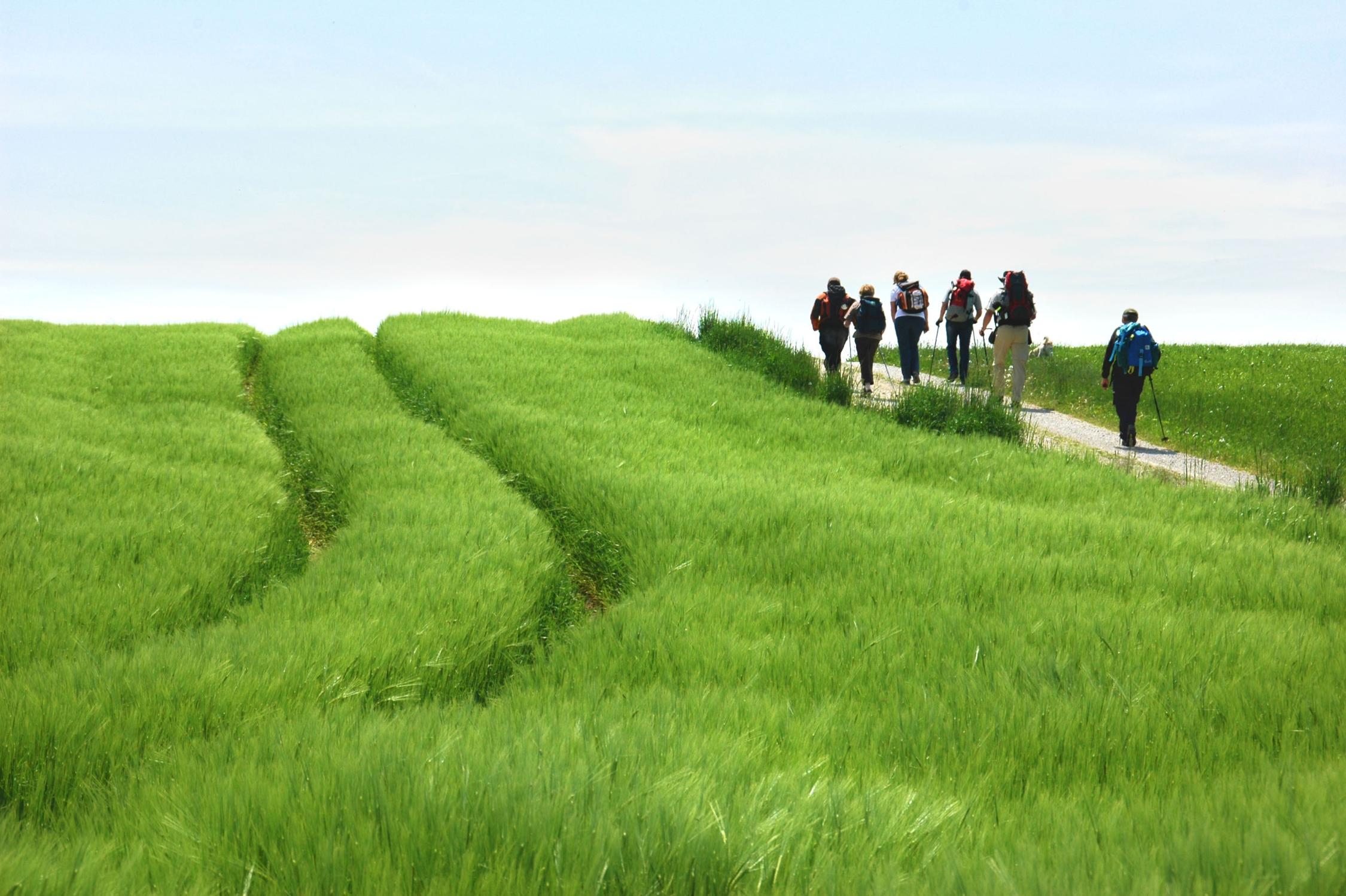 10250_pilgern_bearb_by_adelheid-weigl-gosse_pfarrbriefservice