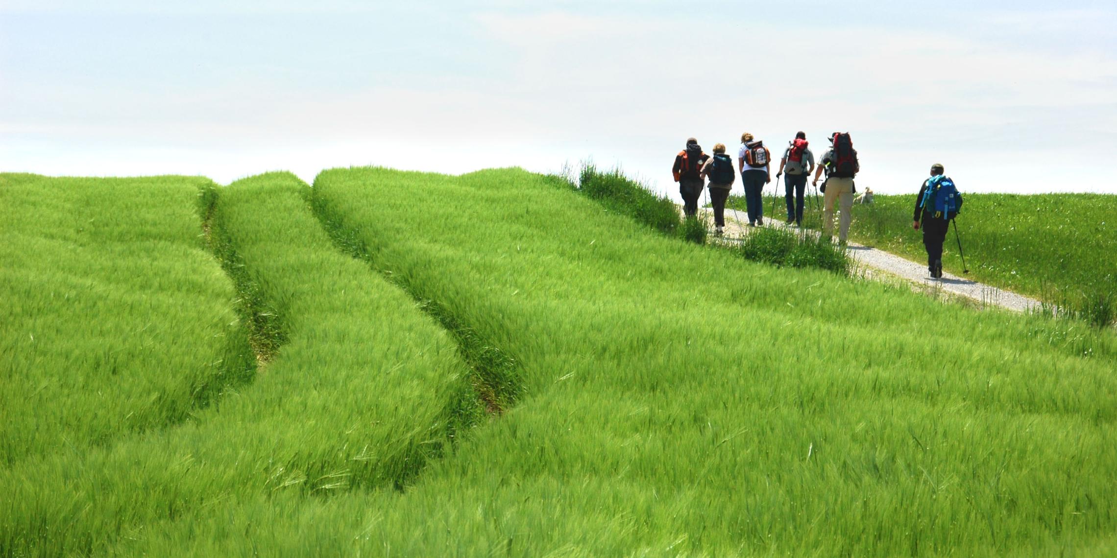 10250_pilgern_bearb_by_adelheid-weigl-gosse_pfarrbriefservice