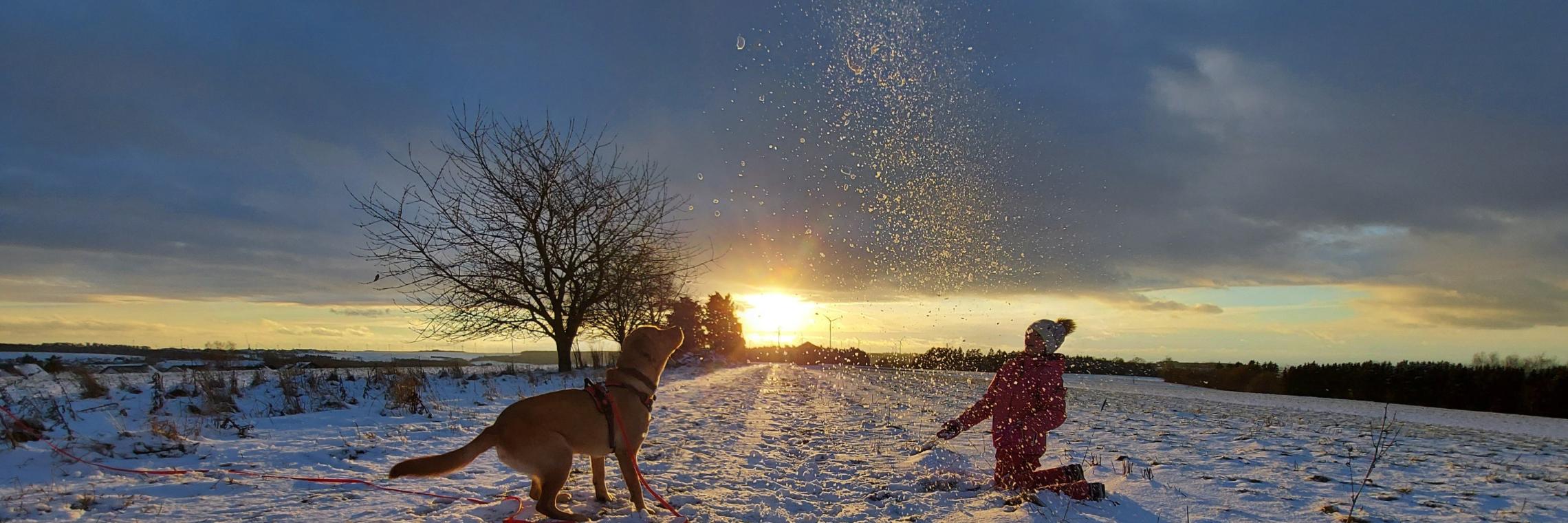 20210126_175059_by_Kerstin_Dupont_pfarrbriefservice