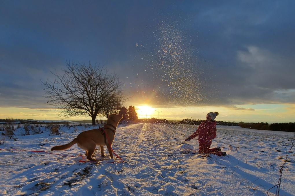 20210126_175059_by_Kerstin_Dupont_pfarrbriefservice