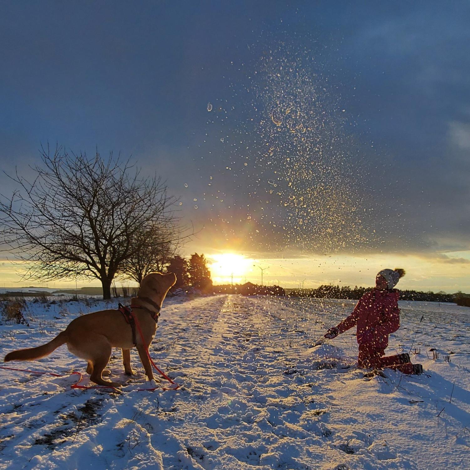 20210126_175059_by_Kerstin_Dupont_pfarrbriefservice