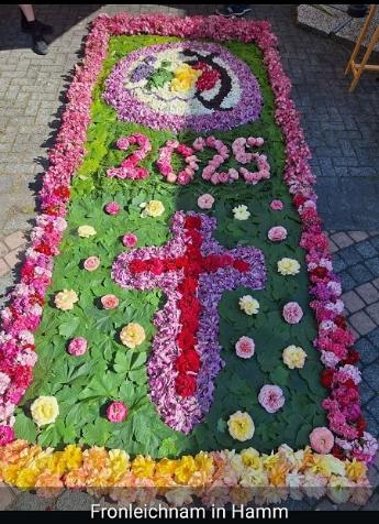Blumenteppich2025_2