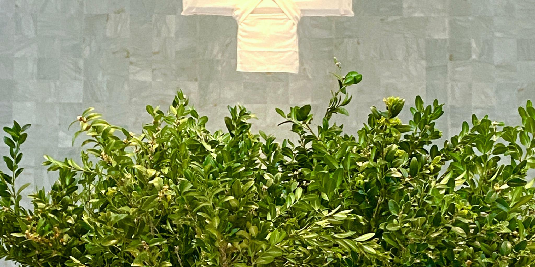 img_4630_by_Sylvio_Krueger_pfarrbriefservice