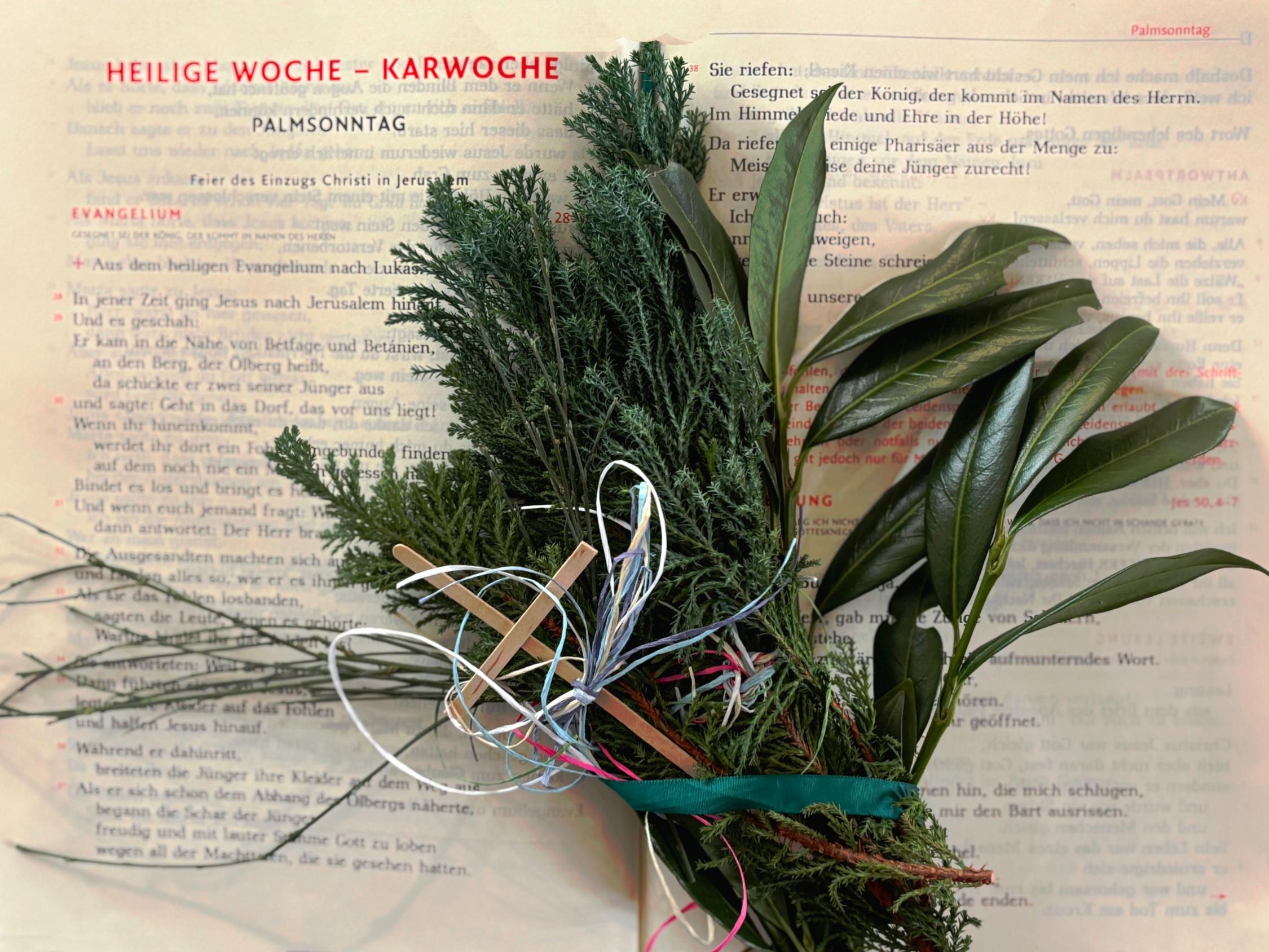 palmsonntag-3_by_Christiane-Raabe_pfarrbriefservice