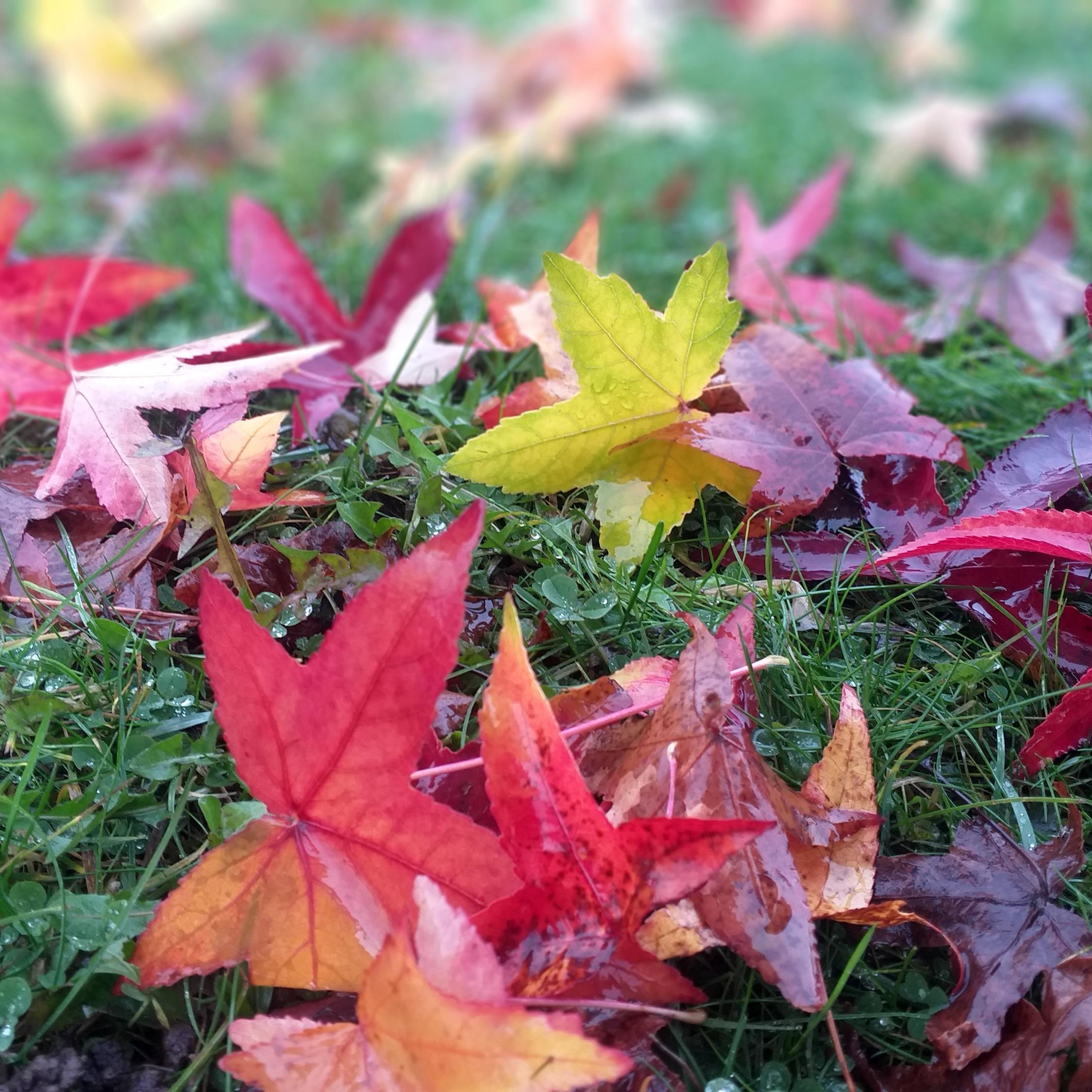 20211201_135324_by_Barbara_Schartz_pfarrbriefservice