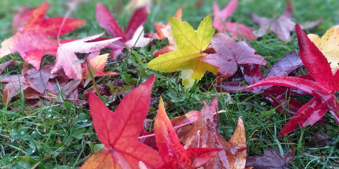 20211201_135324_by_Barbara_Schartz_pfarrbriefservice