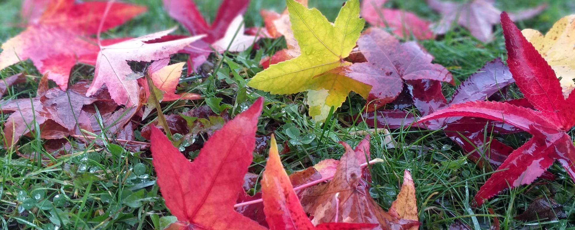 20211201_135324_by_Barbara_Schartz_pfarrbriefservice