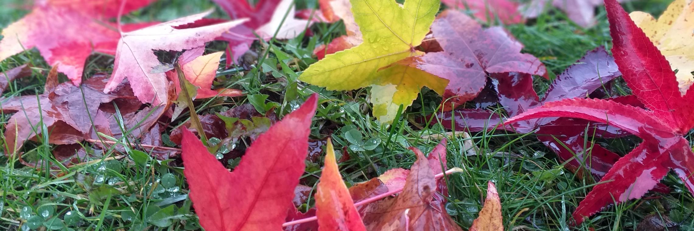 20211201_135324_by_Barbara_Schartz_pfarrbriefservice