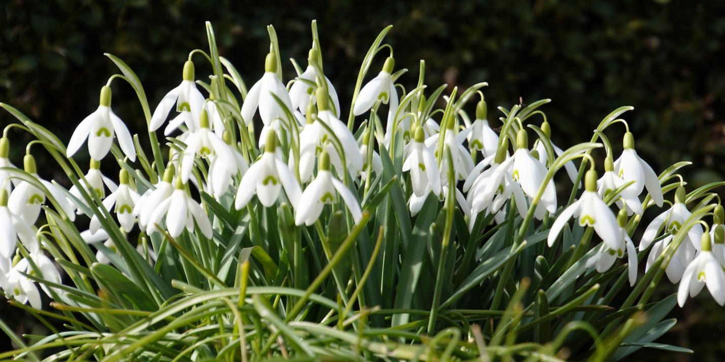 7489_by_martin_manigatterer_pfarrbriefservice