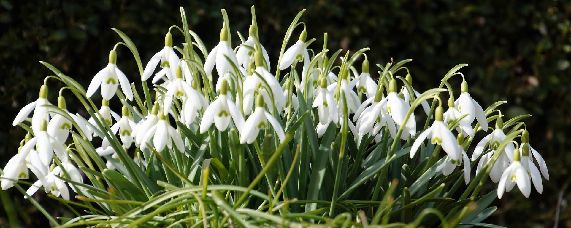 7489_by_martin_manigatterer_pfarrbriefservice