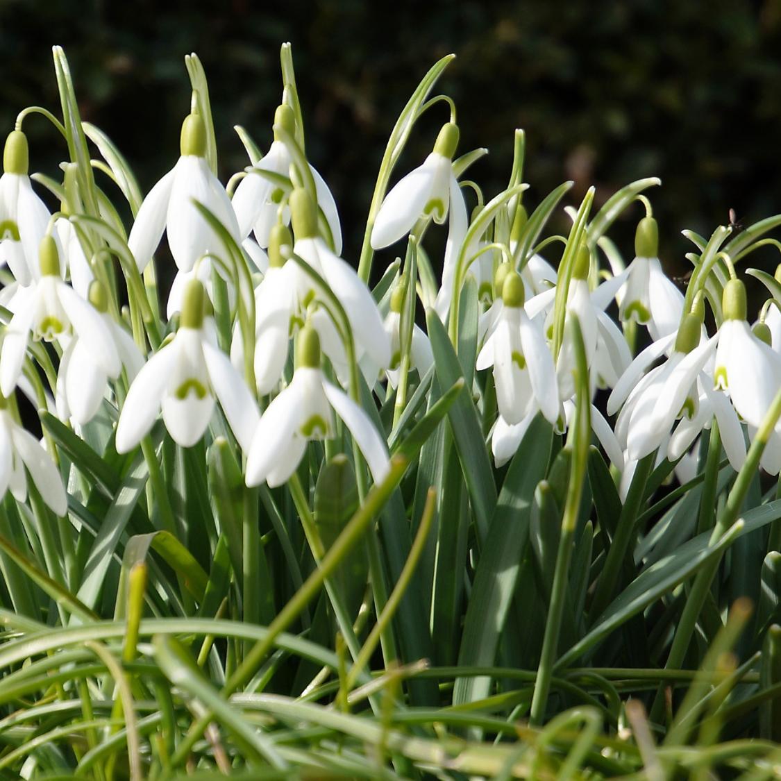 7489_by_martin_manigatterer_pfarrbriefservice