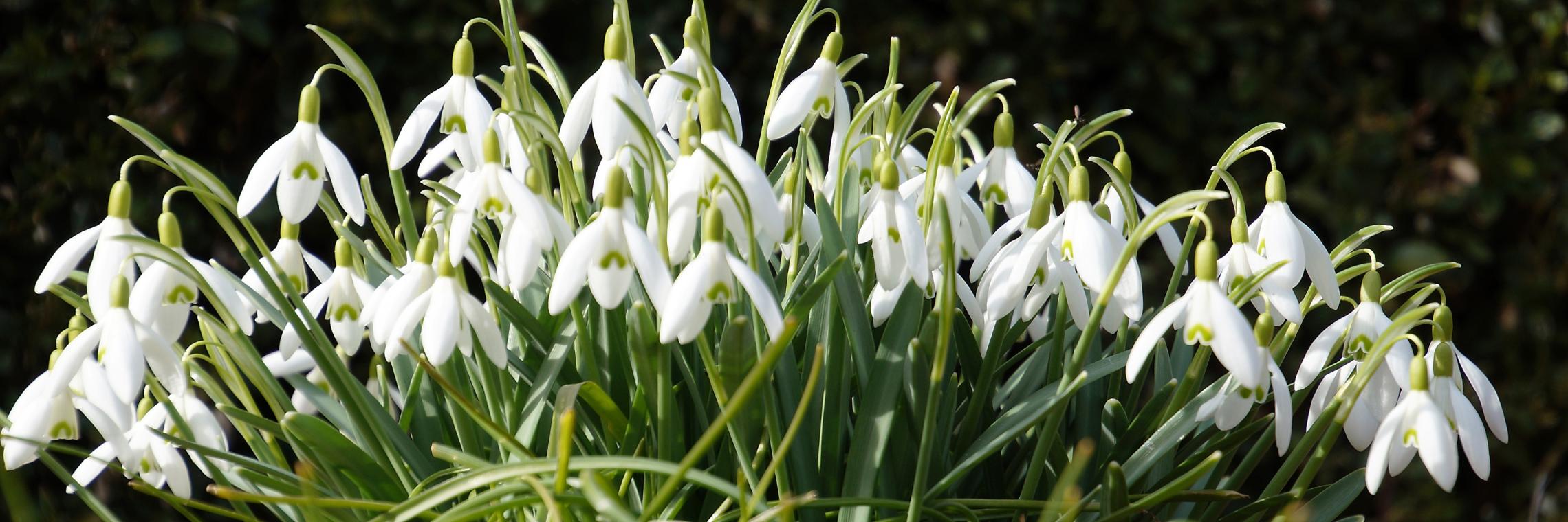 7489_by_martin_manigatterer_pfarrbriefservice