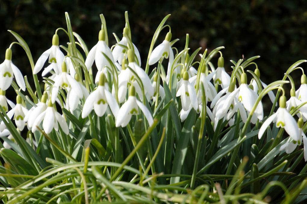 7489_by_martin_manigatterer_pfarrbriefservice