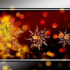 Advent III