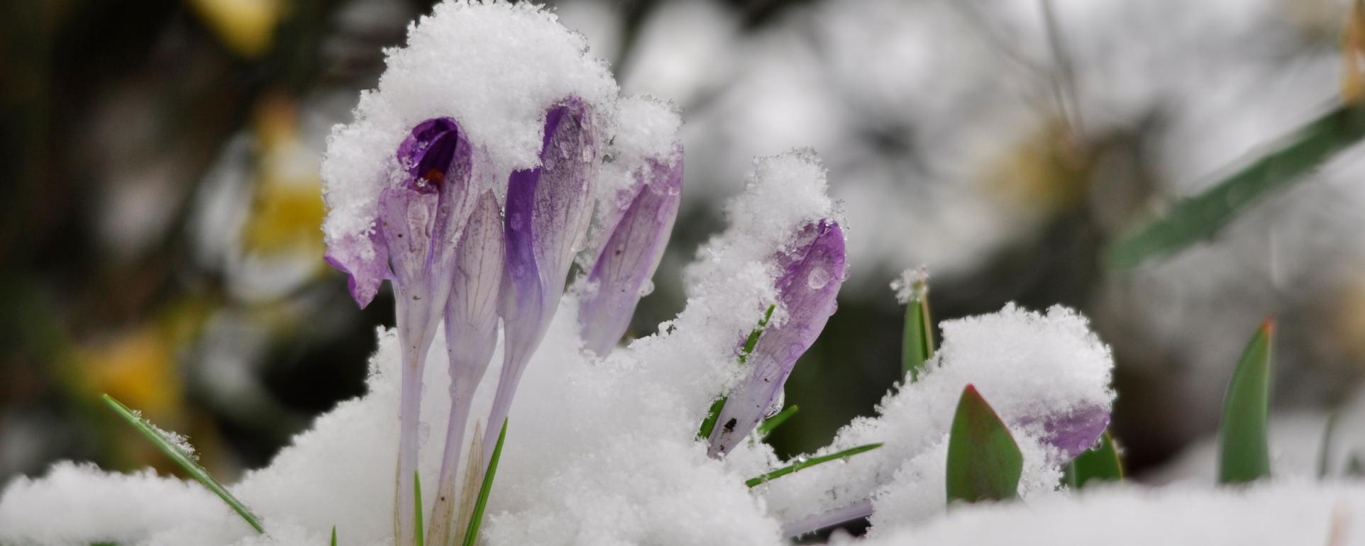 _dsc0015_by_christine_limmer_pfarrbriefservice