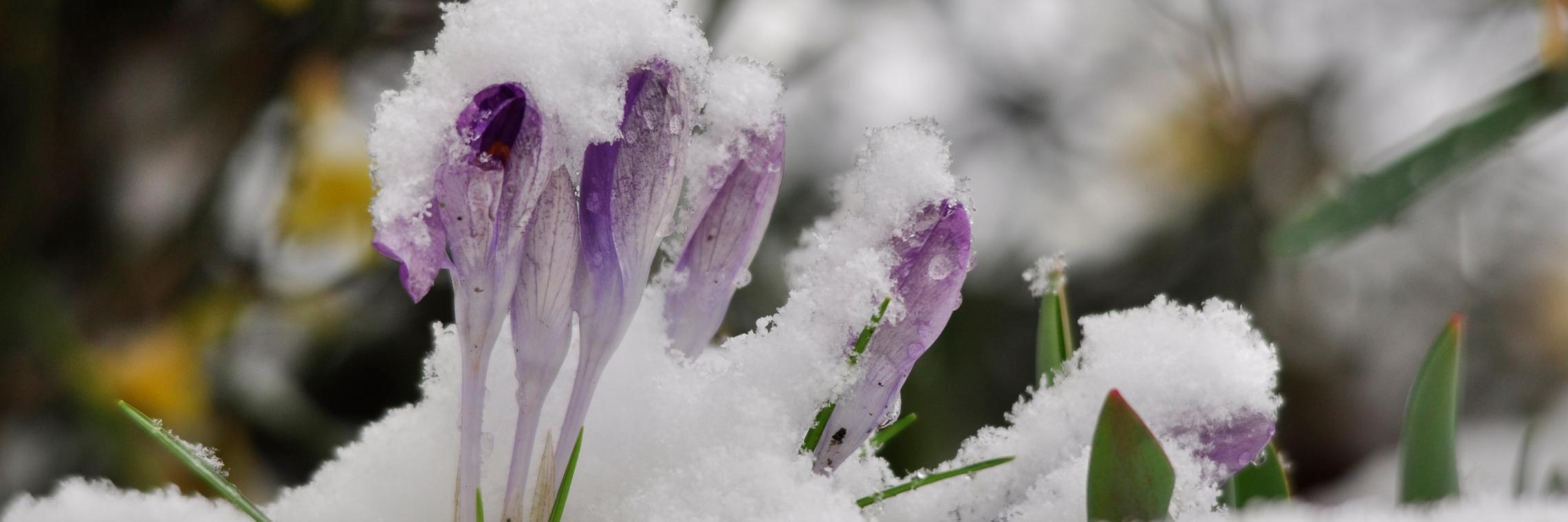 _dsc0015_by_christine_limmer_pfarrbriefservice