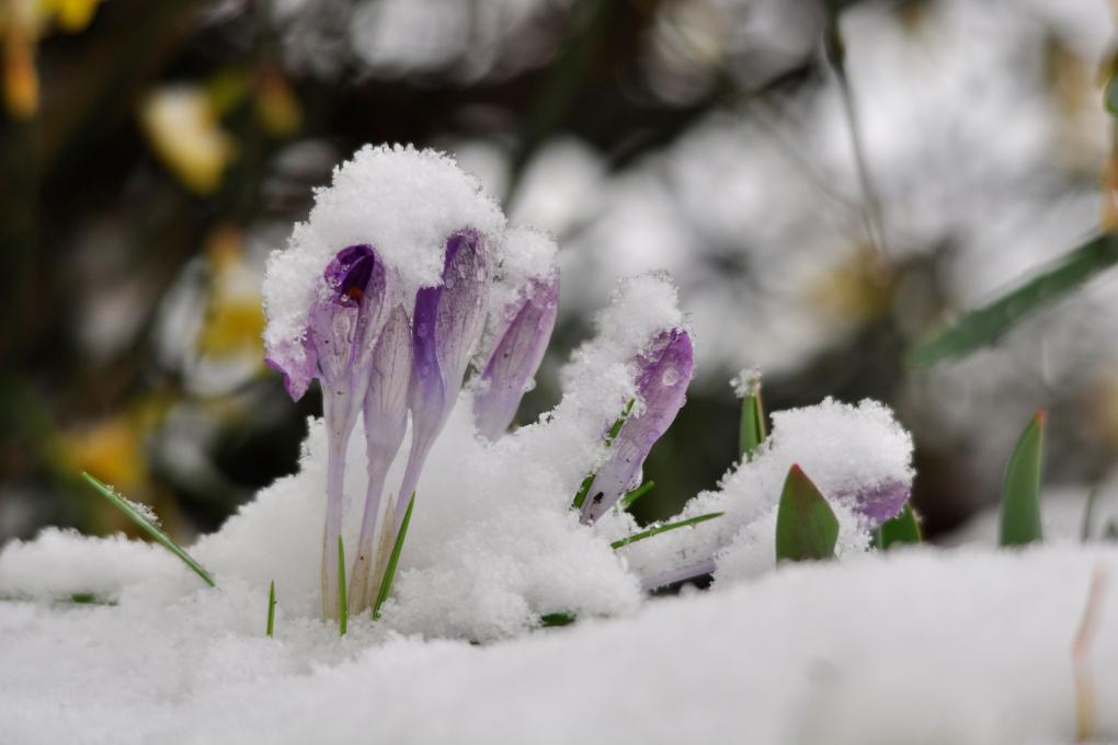 _dsc0015_by_christine_limmer_pfarrbriefservice