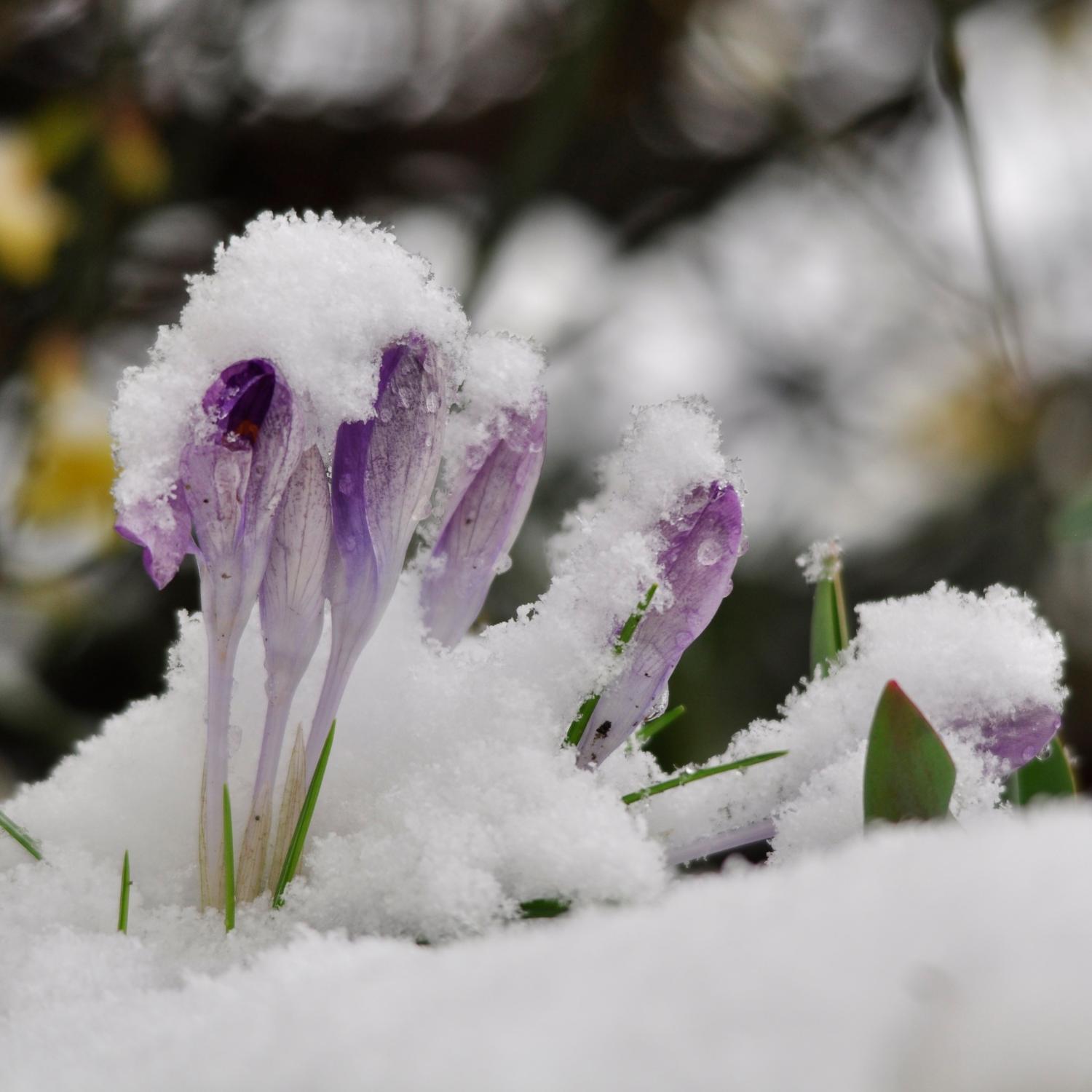 _dsc0015_by_christine_limmer_pfarrbriefservice