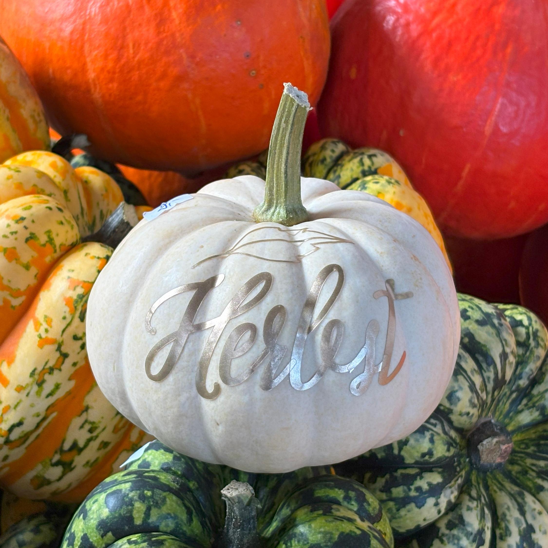 fruechte-im-herbst_by_Christiane-Raabe_pfarrbriefservice