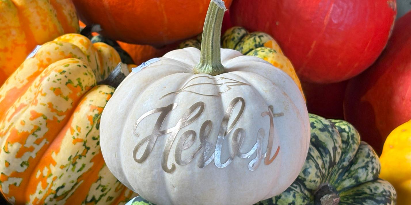 fruechte-im-herbst_by_Christiane-Raabe_pfarrbriefservice