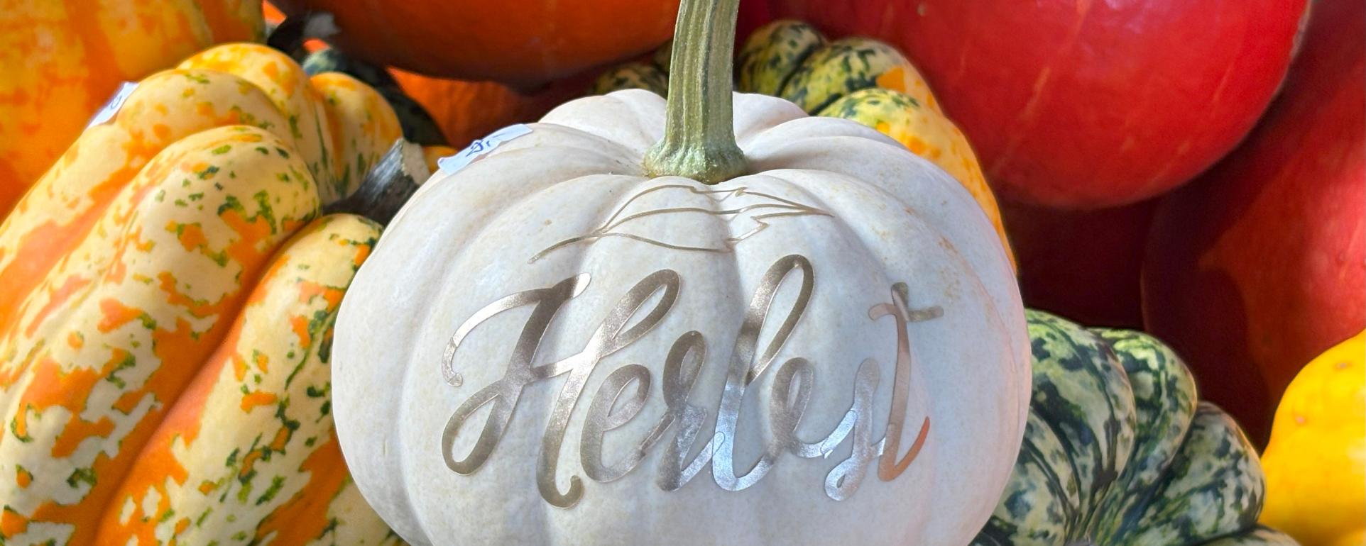 fruechte-im-herbst_by_Christiane-Raabe_pfarrbriefservice