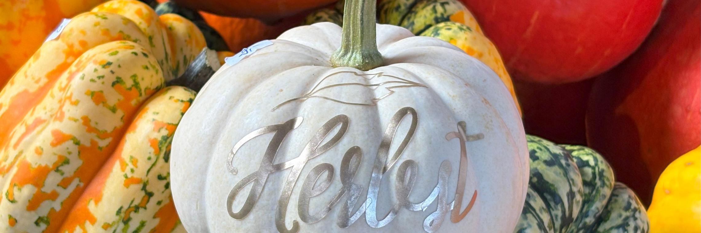 fruechte-im-herbst_by_Christiane-Raabe_pfarrbriefservice