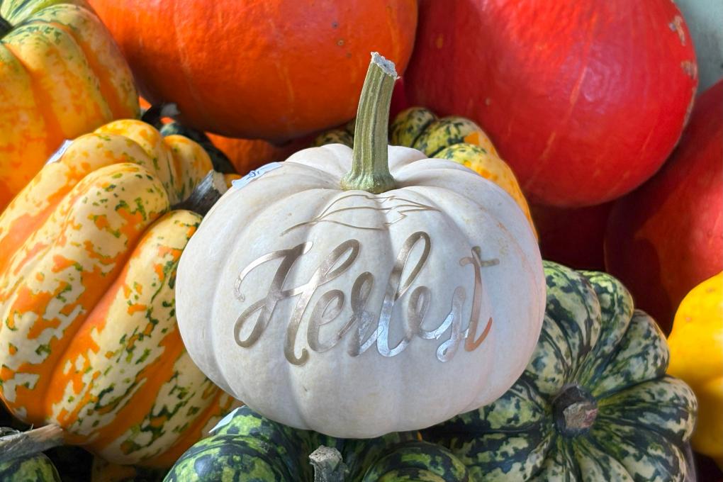 fruechte-im-herbst_by_Christiane-Raabe_pfarrbriefservice