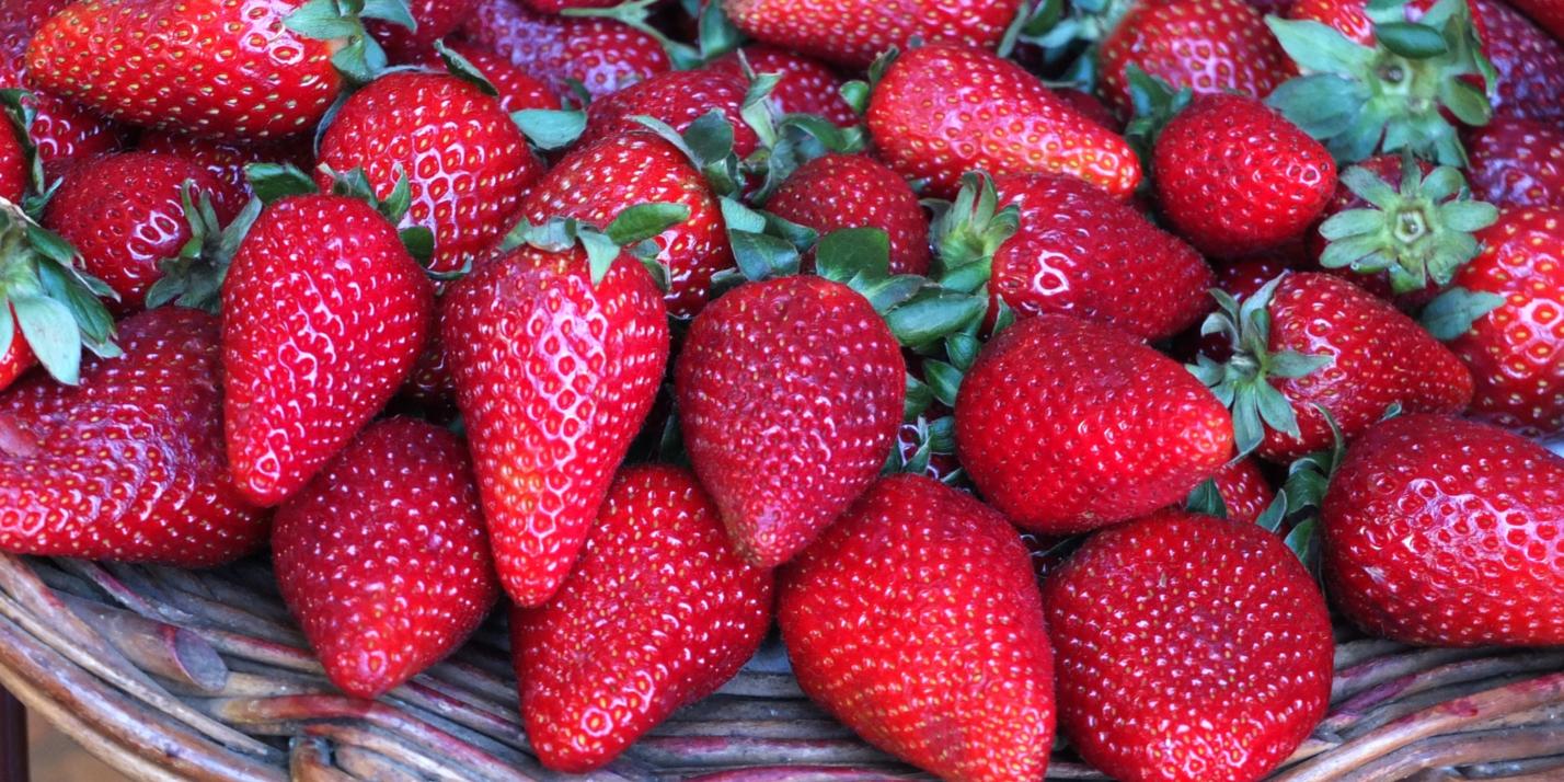 fruit-2223330_by_andrewianhalloway_cc0-gemeinfrei_pixabay_pfarrbriefservice