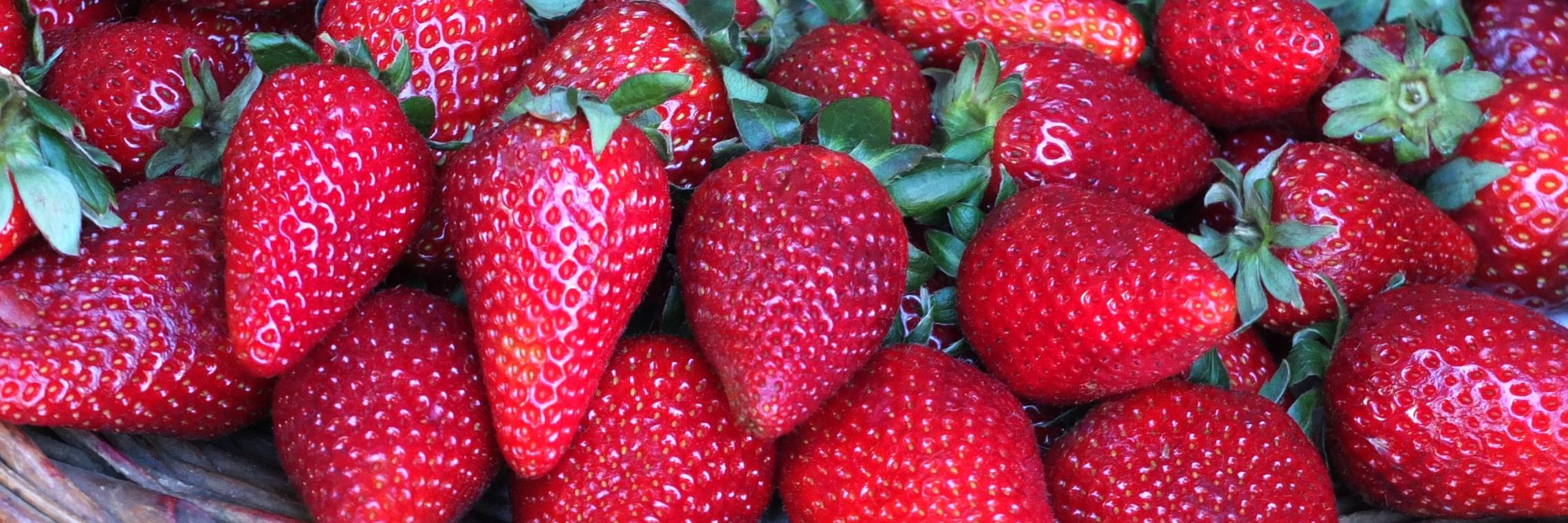 fruit-2223330_by_andrewianhalloway_cc0-gemeinfrei_pixabay_pfarrbriefservice