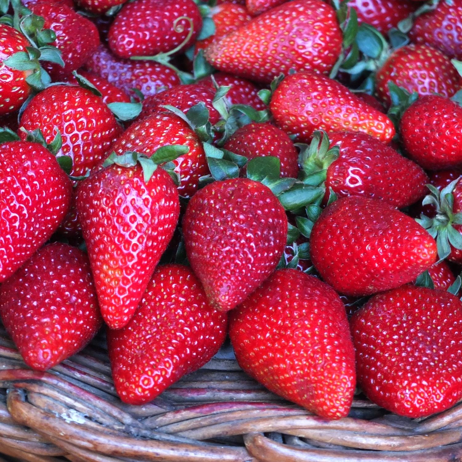 fruit-2223330_by_andrewianhalloway_cc0-gemeinfrei_pixabay_pfarrbriefservice