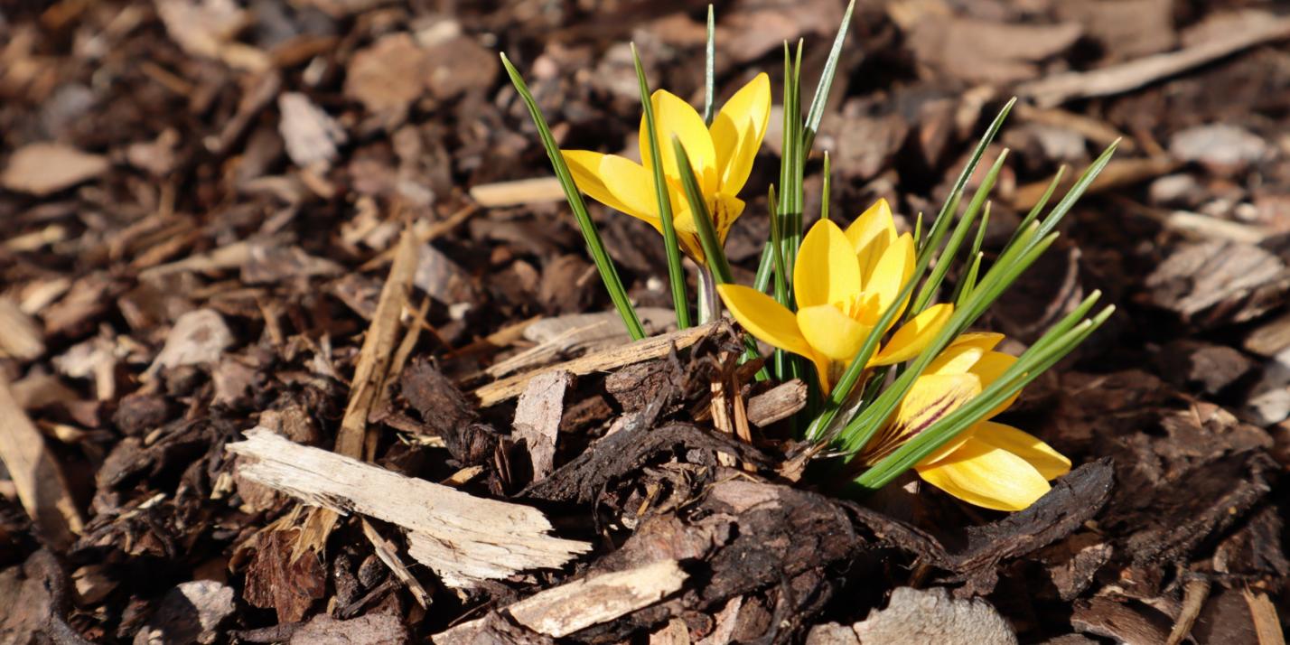 img_0268_by_anja_treffler_pfarrbriefservice