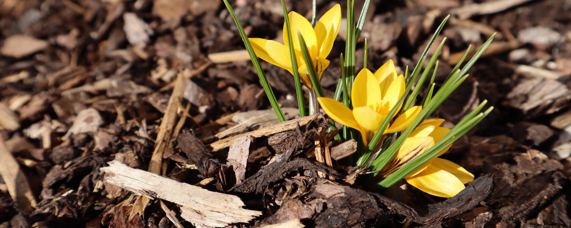 img_0268_by_anja_treffler_pfarrbriefservice