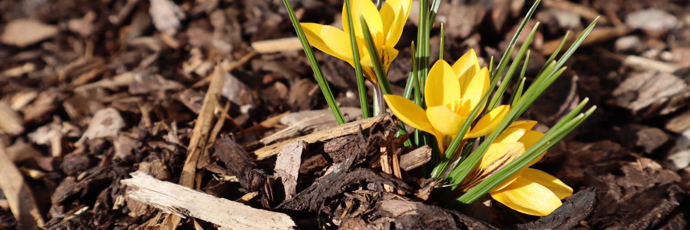 img_0268_by_anja_treffler_pfarrbriefservice