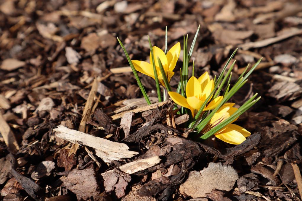 img_0268_by_anja_treffler_pfarrbriefservice