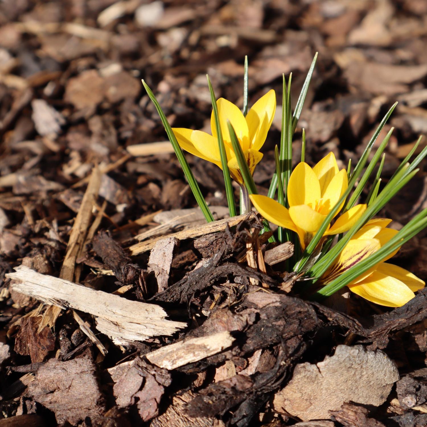 img_0268_by_anja_treffler_pfarrbriefservice