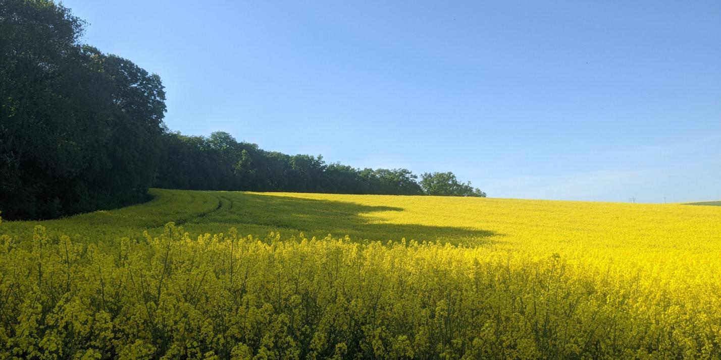 pxl_20220515_153136458_by_Adrienne_Uebbing_pfarrbriefservice