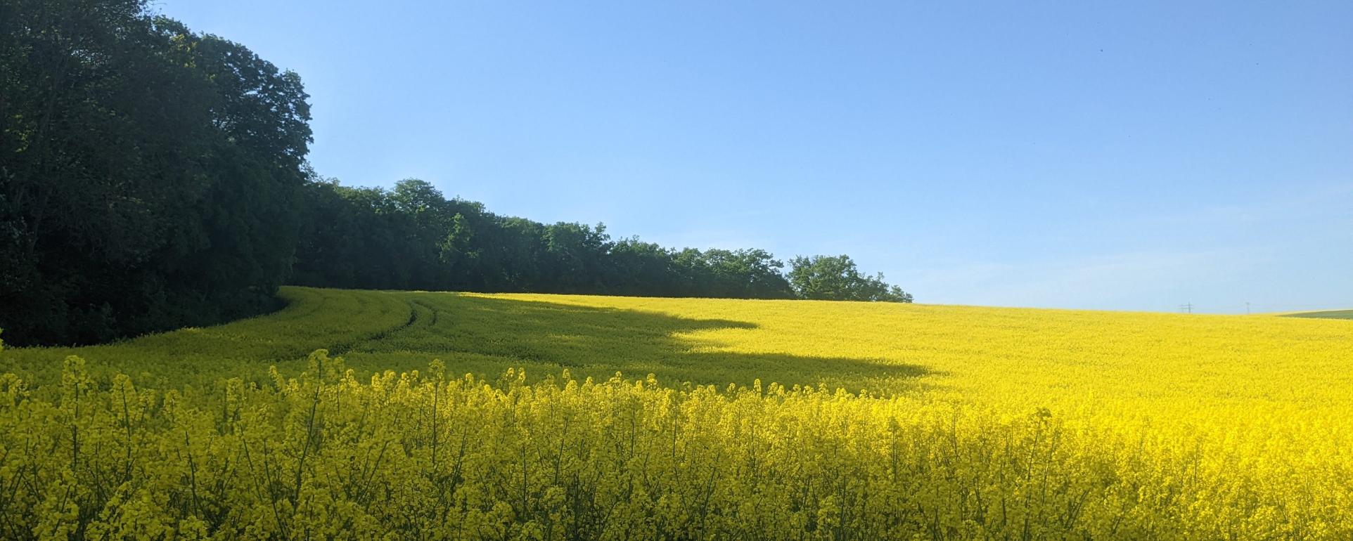 pxl_20220515_153136458_by_Adrienne_Uebbing_pfarrbriefservice