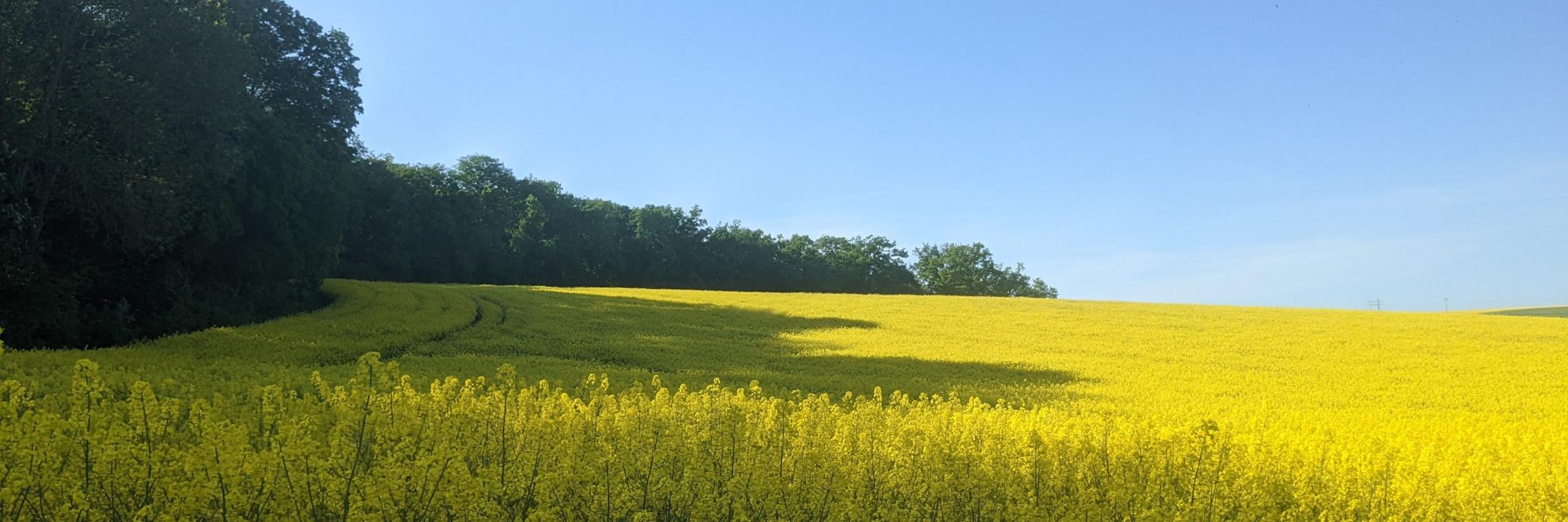 pxl_20220515_153136458_by_Adrienne_Uebbing_pfarrbriefservice