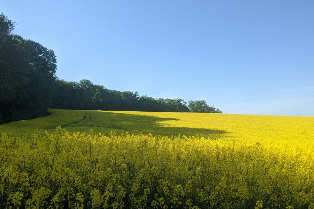 pxl_20220515_153136458_by_Adrienne_Uebbing_pfarrbriefservice