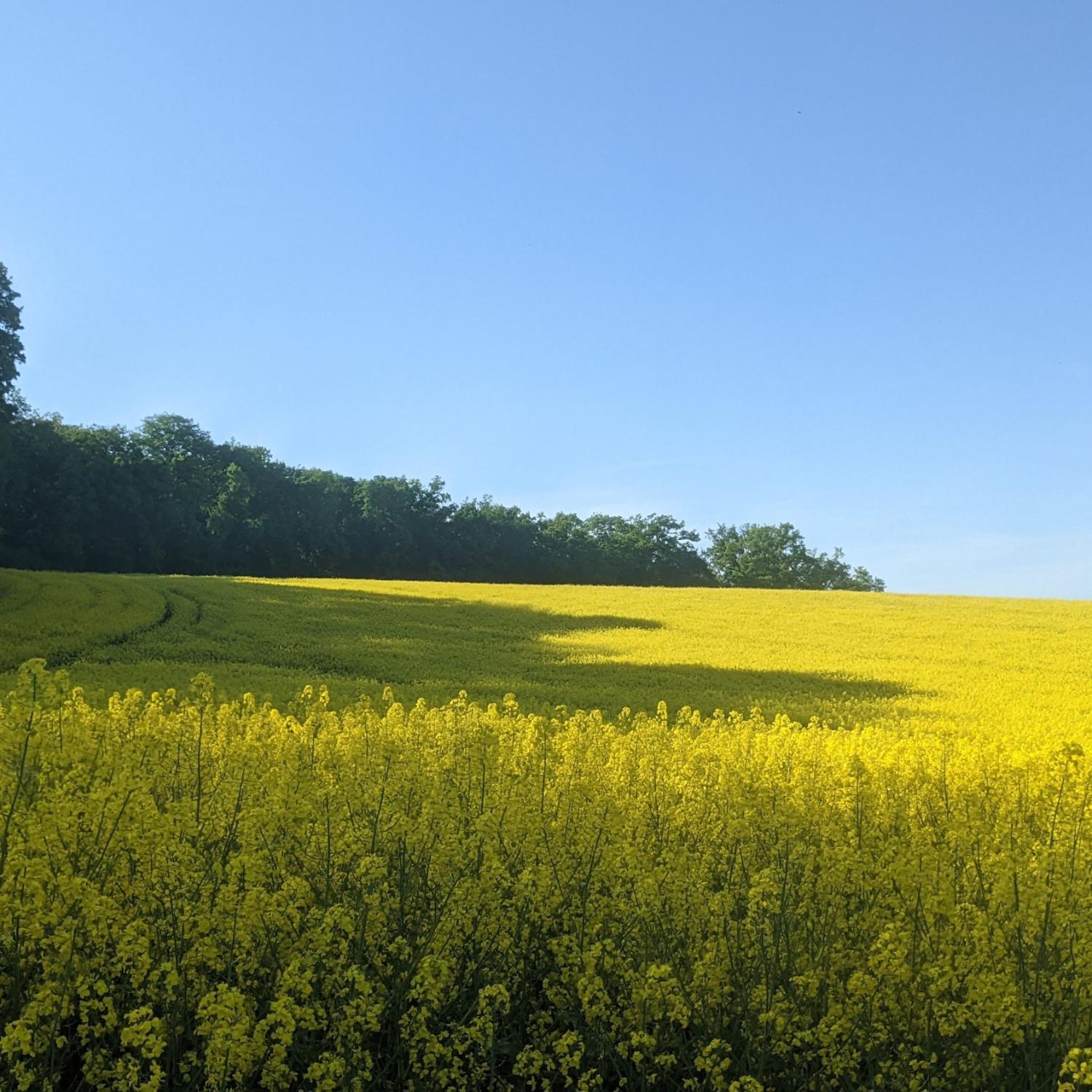 pxl_20220515_153136458_by_Adrienne_Uebbing_pfarrbriefservice