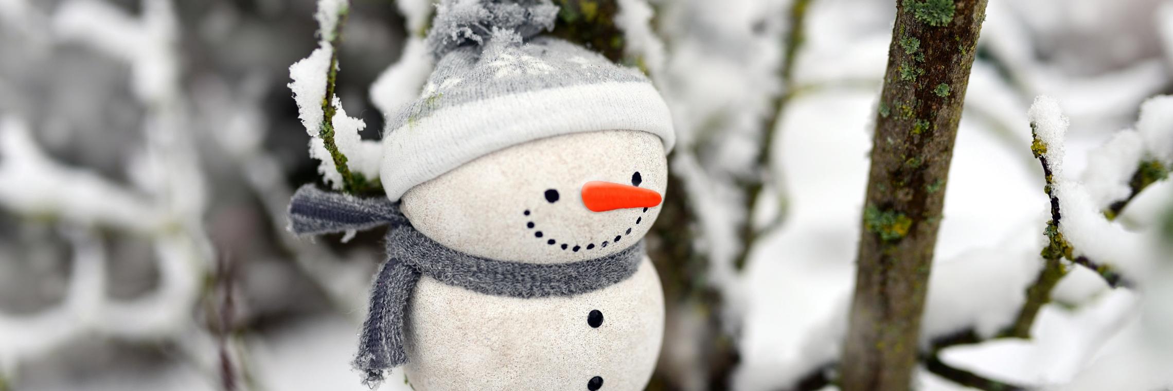 snowman-5947619_by_congerdesign_pixabay_pfarrbriefservice