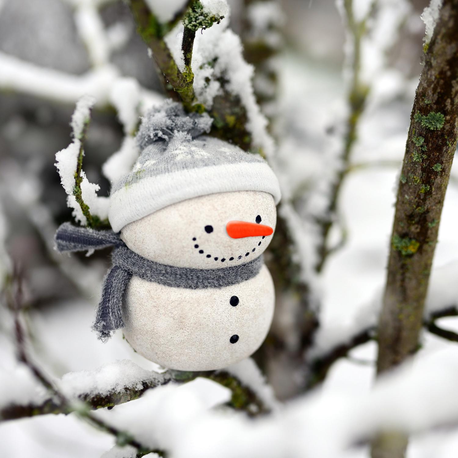 snowman-5947619_by_congerdesign_pixabay_pfarrbriefservice